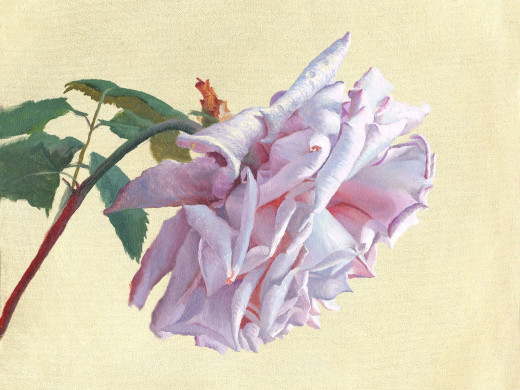 301040 (a): :1600x1200
